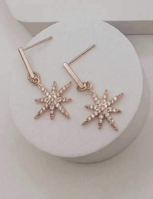 Star Dust Earring